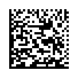 PPN Code sample code